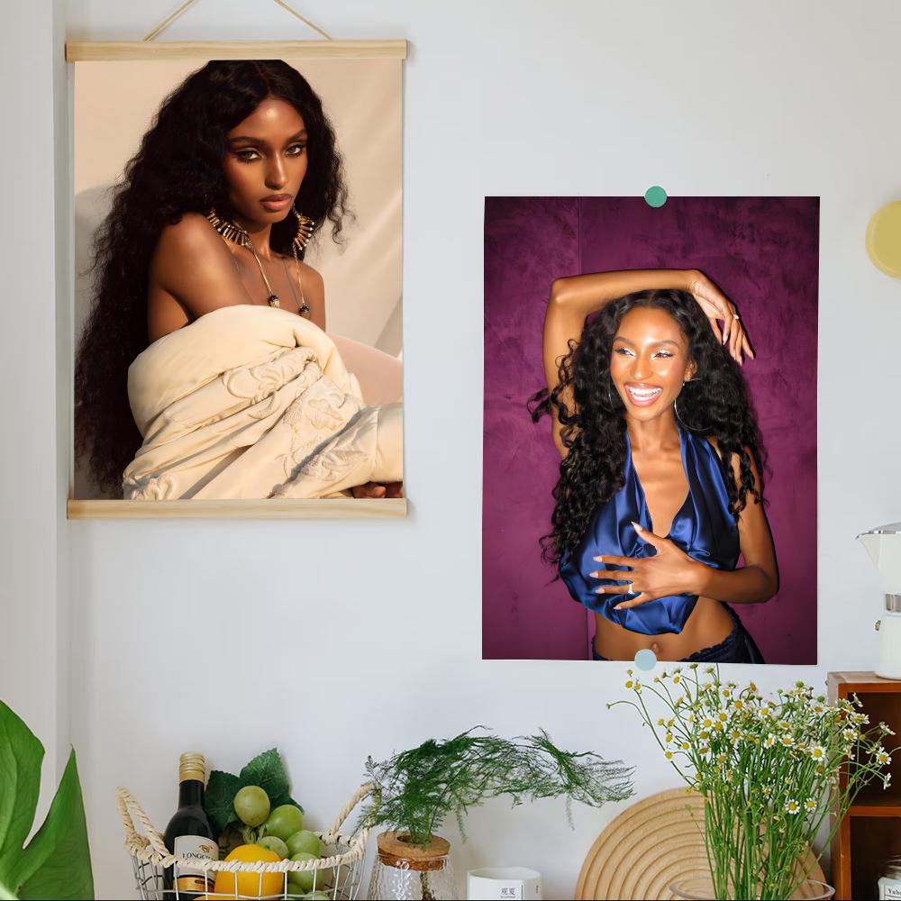 Póster artístico de Singer S-S - Home Bar Sydney reseña y precio